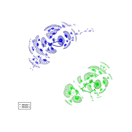 cell cycle basins of attraction